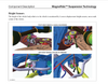 Professional Land Rover Mechanical Systems Theory and Repair Training Manual